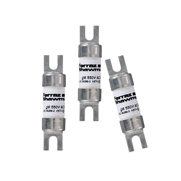 G1019228 - Offset Tag fuse-links gM BNTI 550VAC/250VDC  10M16 A